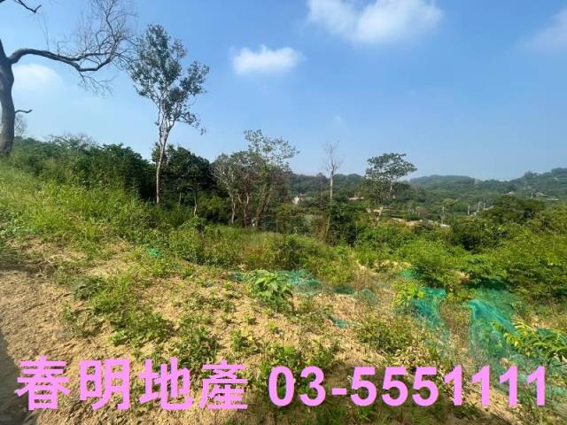 苗栗市農地-5