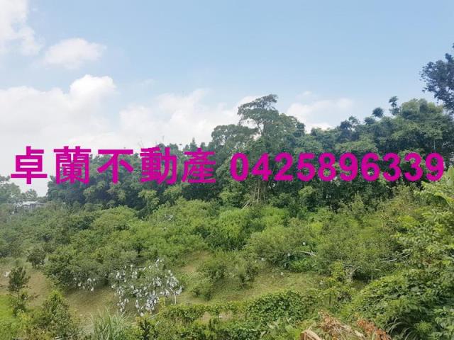 卓蘭農地_建地-5