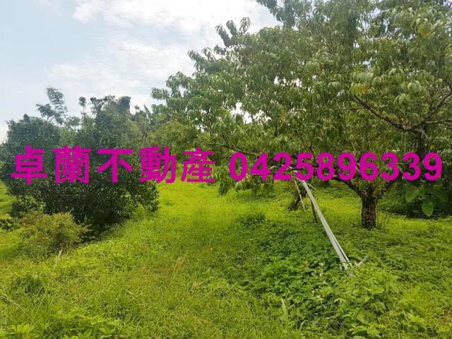 卓蘭農地_建地-6