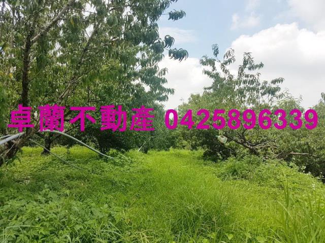 卓蘭農地_建地-7