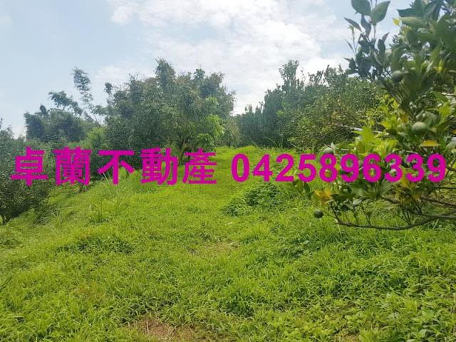 卓蘭農地_建地-9