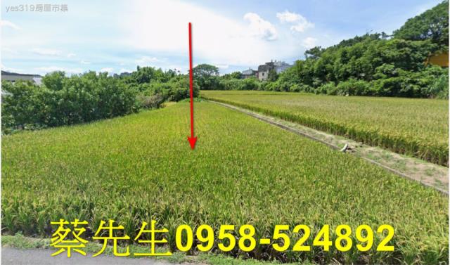 桃園法拍農地-9