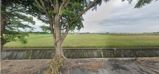 雲林東勢鄉法拍農地-8