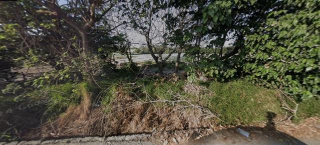 崙背農地拍賣-8