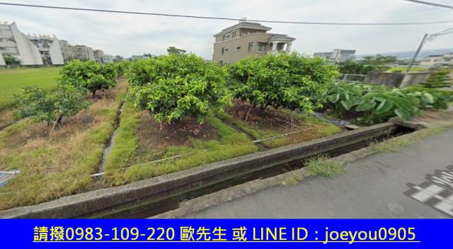 南投市農地拍賣-5