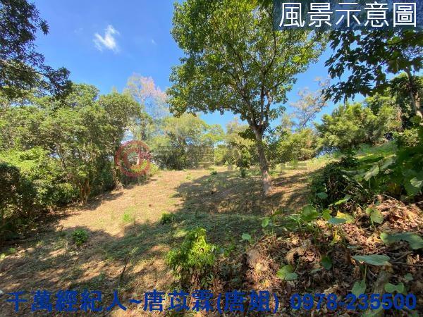 北區山坡地-10