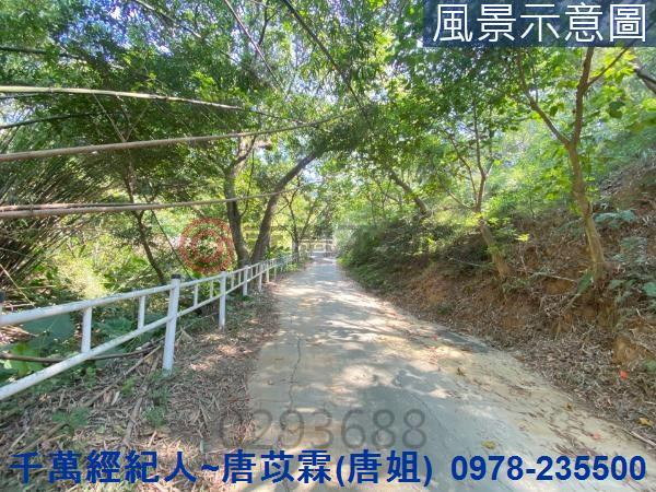 北區山坡地-11