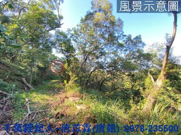 北區山坡地-0