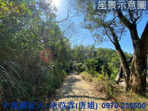 北區山坡地-8