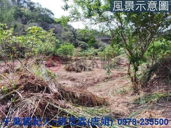 新竹農地-3