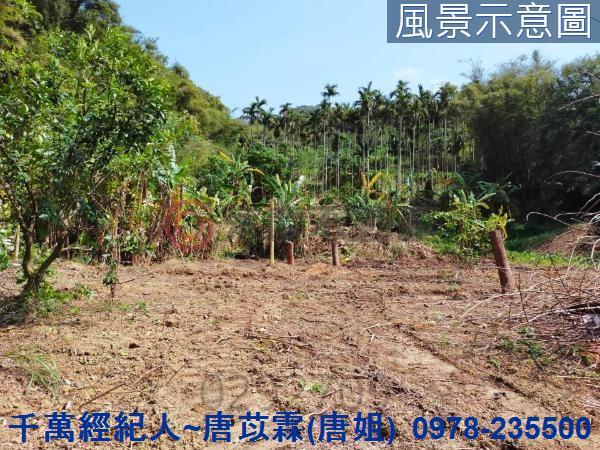 新竹農地-4