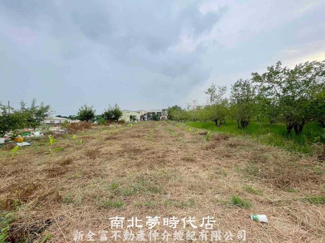 六甲農地-0