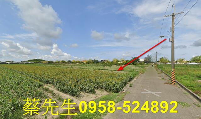 台南農地法拍-15