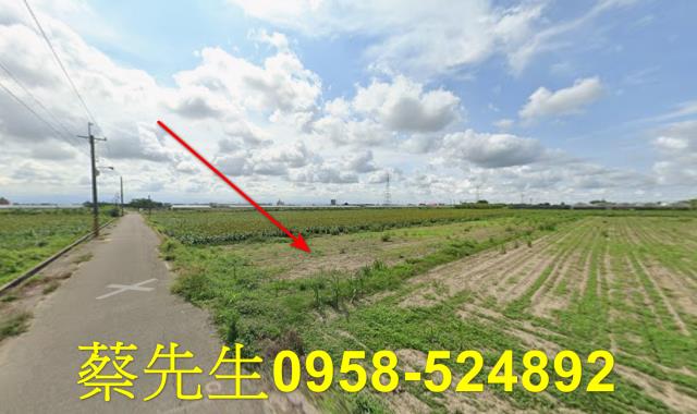 台南農地法拍-4