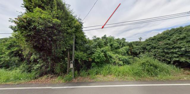 台中拍賣種菜地-8