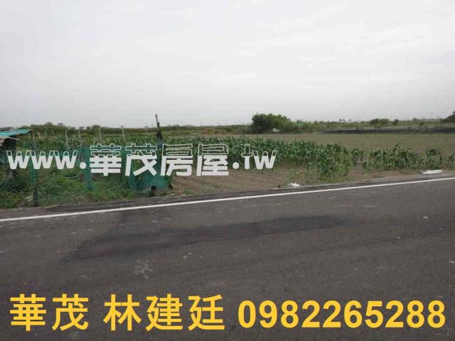 台南將軍農地法拍-9