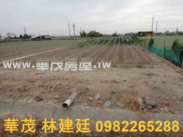 台南將軍農地法拍-5