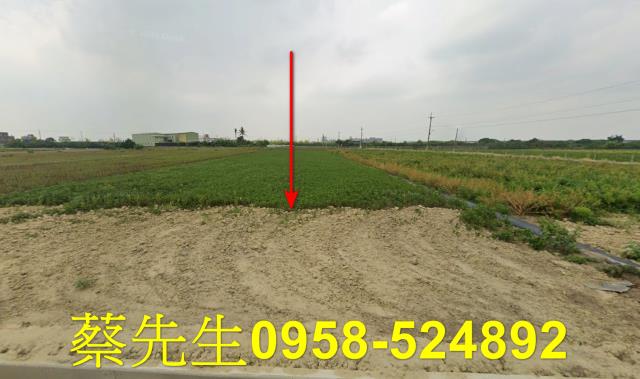 下營法拍農地-9