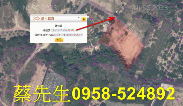 大內法拍農地-15