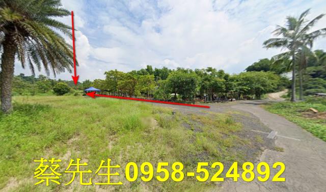 大內法拍農地-4