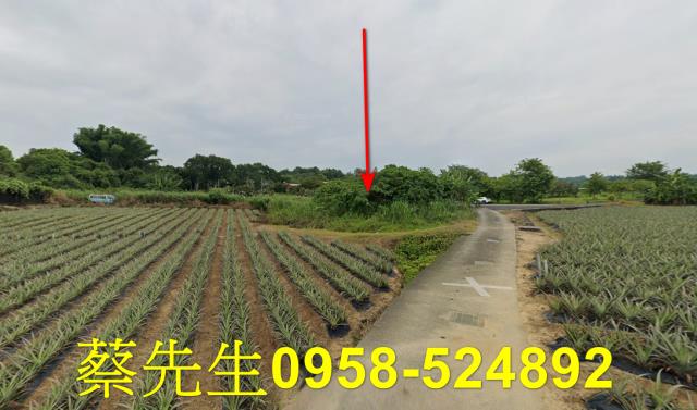 大內農地法拍-13