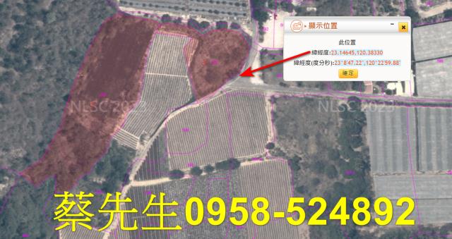 大內農地法拍-3