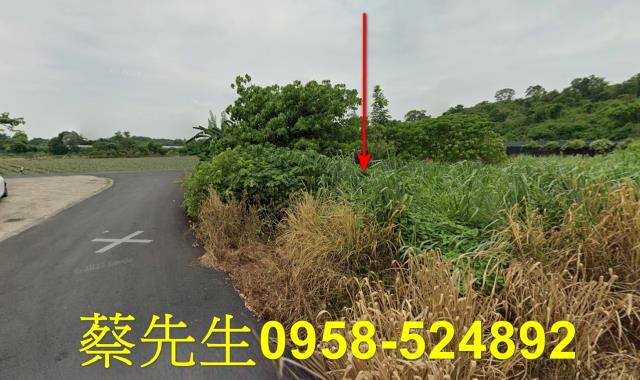 大內農地法拍-6