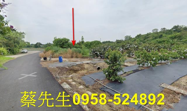 大內農地法拍-7