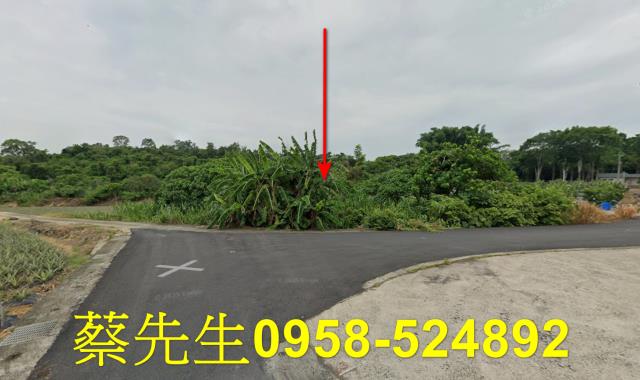 大內農地法拍-9