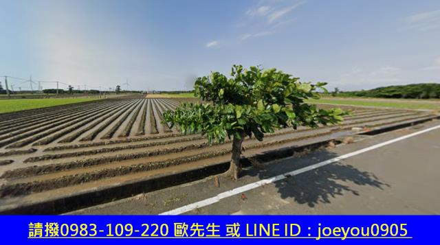 崙背法拍農地-4