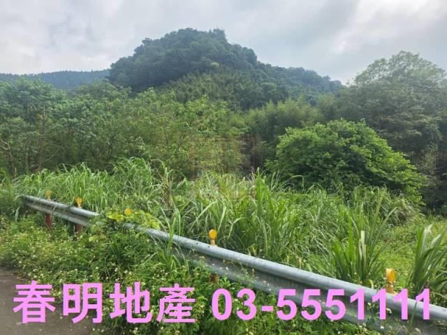 尖石農地_建地_林地-2