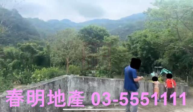 尖石農地_建地_林地-5