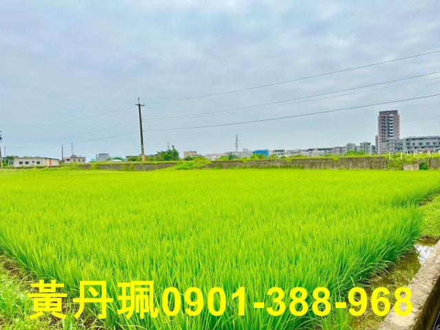 新屋農地_休閒地-3