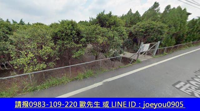 古坑農地拍賣-4