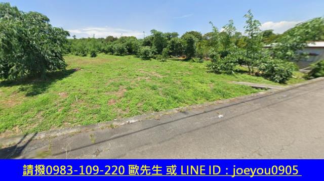 雲林法拍建地-10