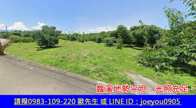 雲林法拍建地-3