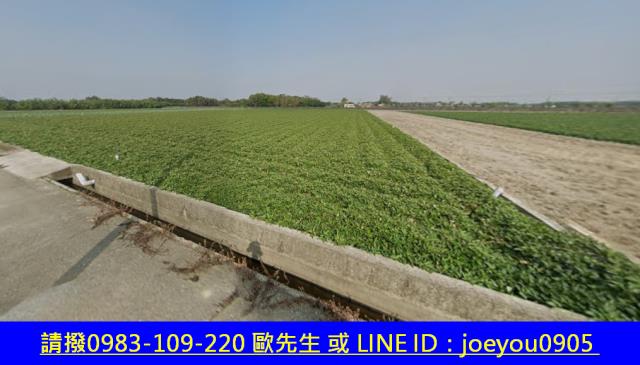 雲林法拍農地-4