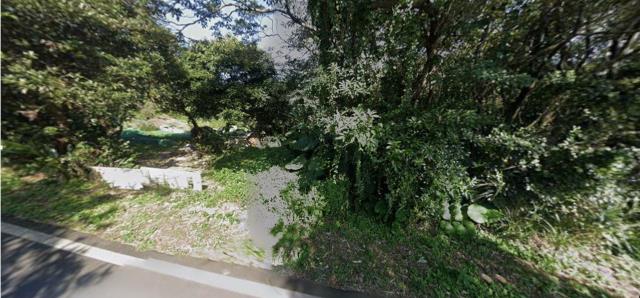 新北淡水農地法拍-4