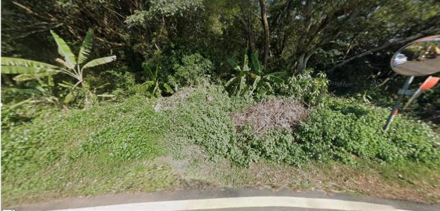 淡水法拍農地_山坡地-8