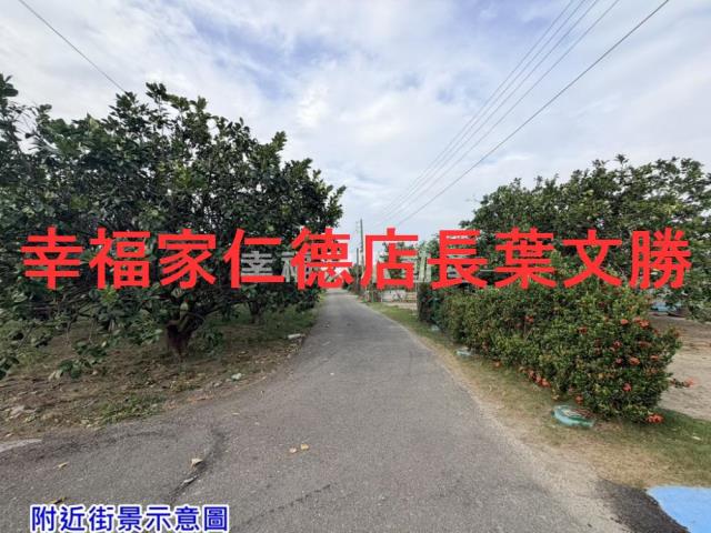 麻豆農地-13