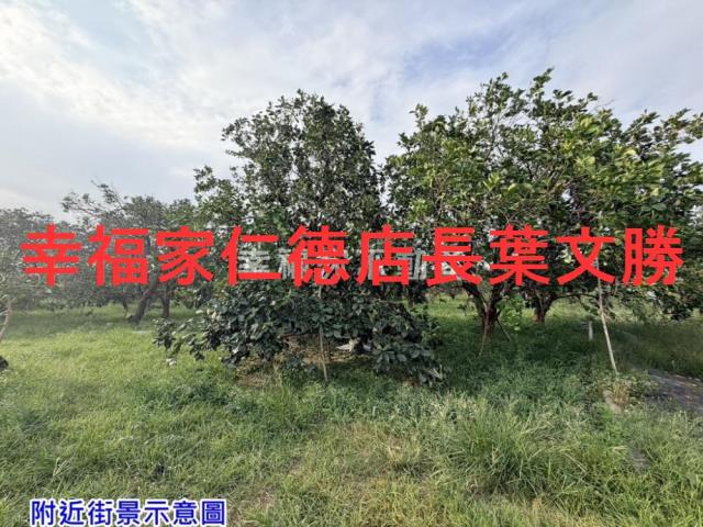 麻豆農地-14