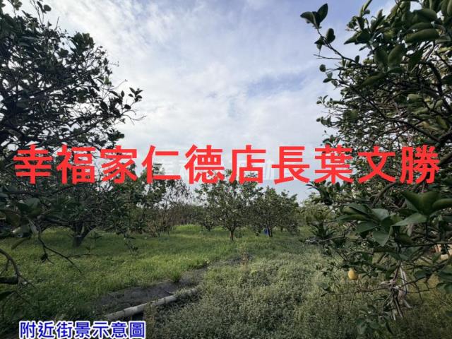 麻豆農地-15