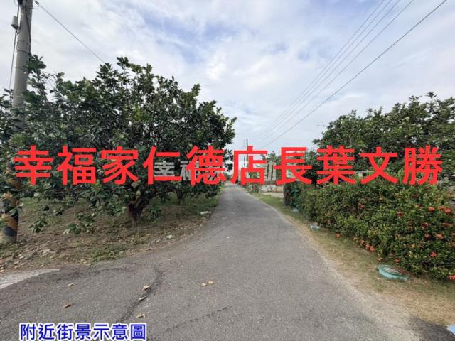 麻豆農地-3