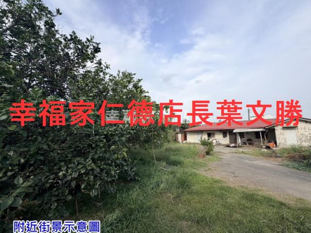 麻豆農地-7
