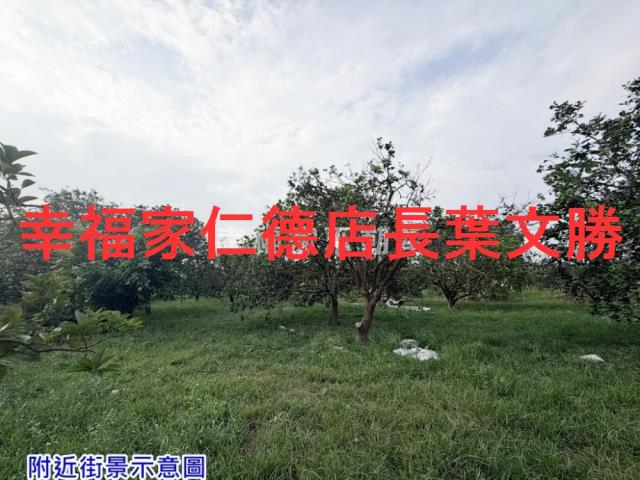 麻豆農地-8