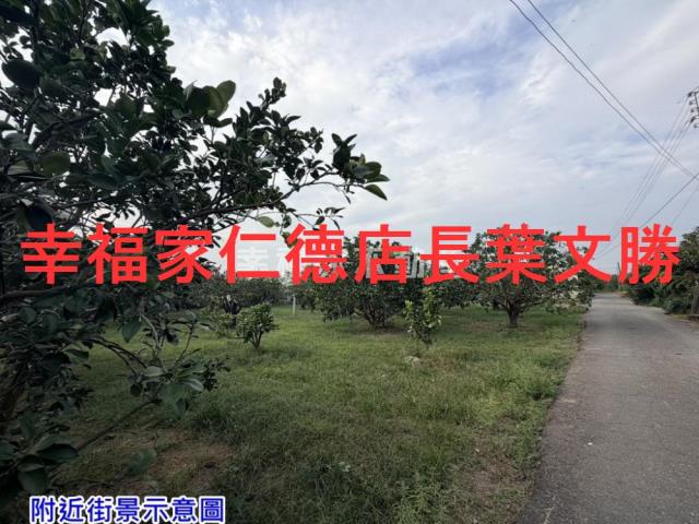 麻豆農地-9