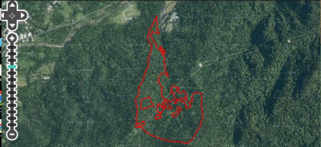 雙溪山坡地_林地拍賣-9