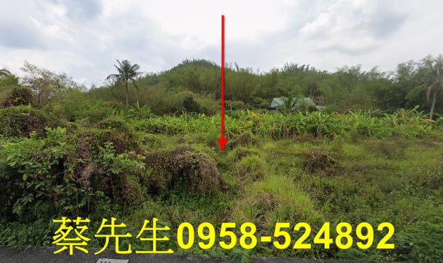 內門拍賣農地-9