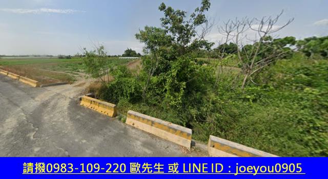 嘉義法拍農地-11