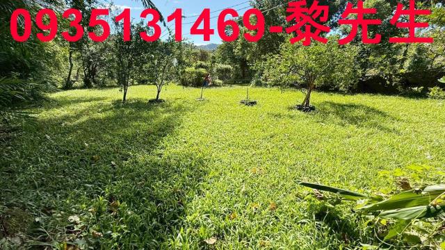 新竹關西農地_道路持份-10